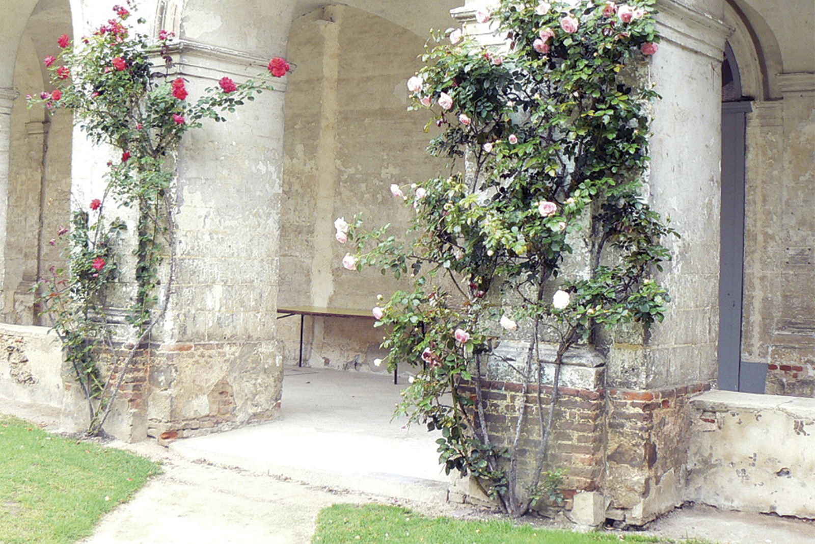 Rising damp outside a large stately home.
