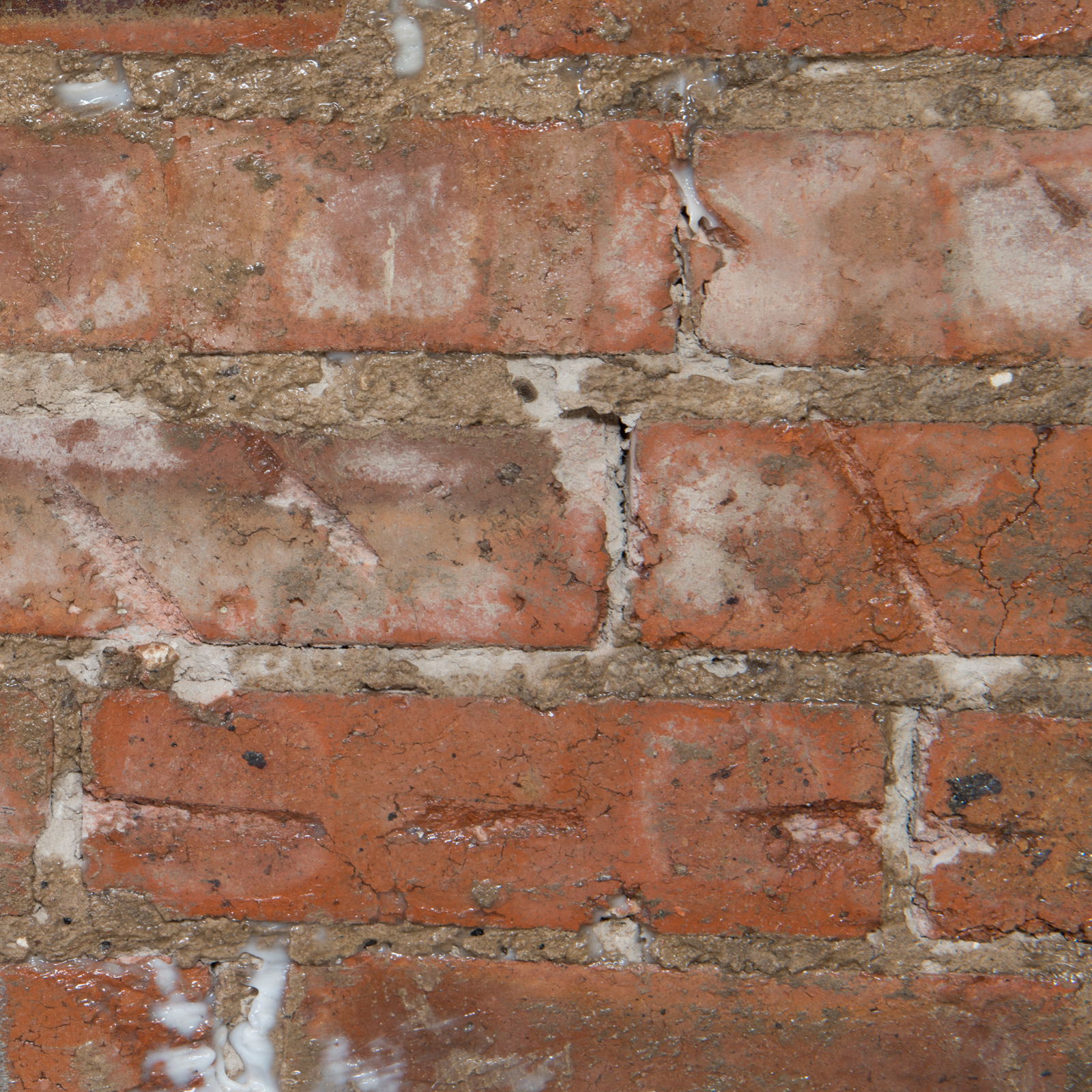 Step 8 dryzone system wait 30 minutes