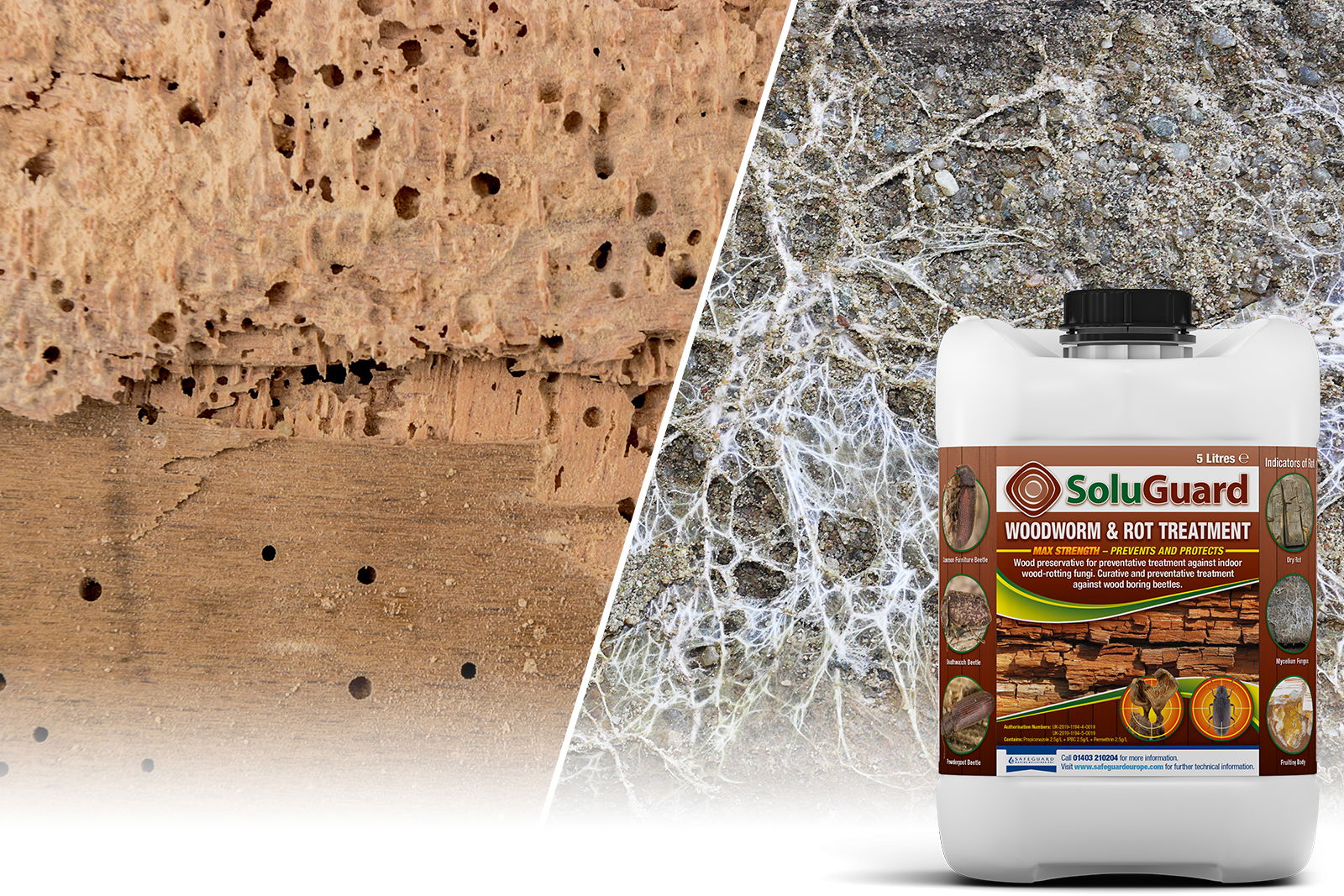 SoluGuard Woodworm and rot plus background image (old)