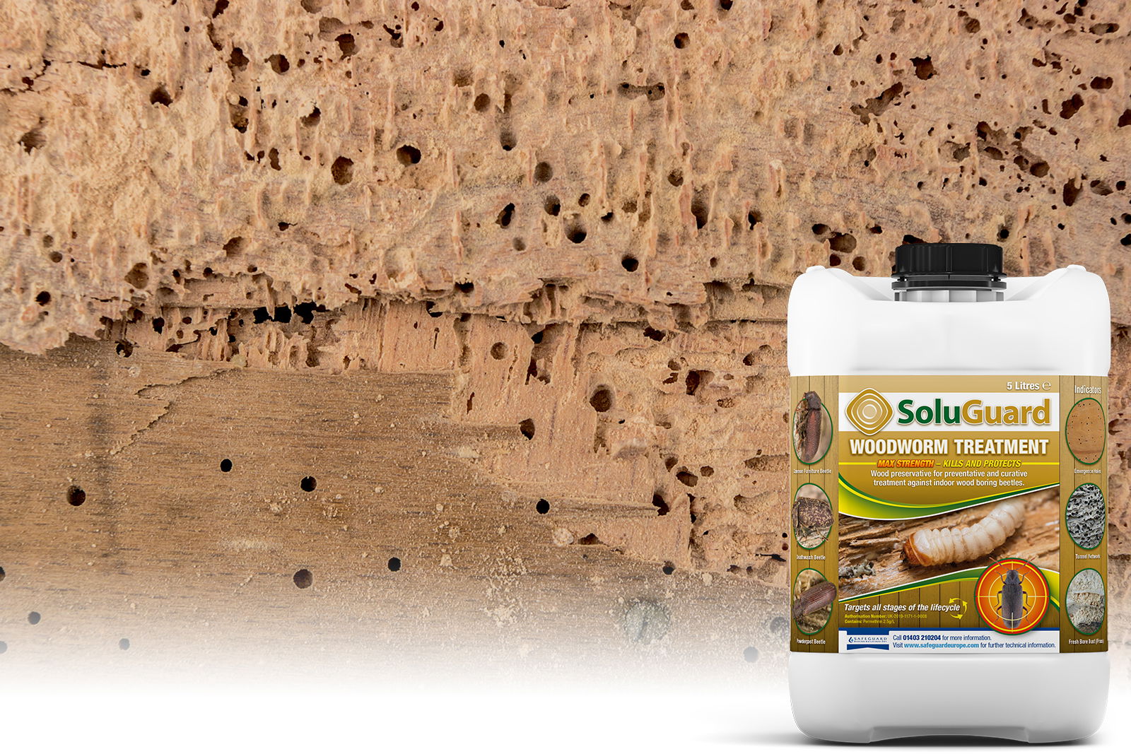 Woodworm treatment plus background image