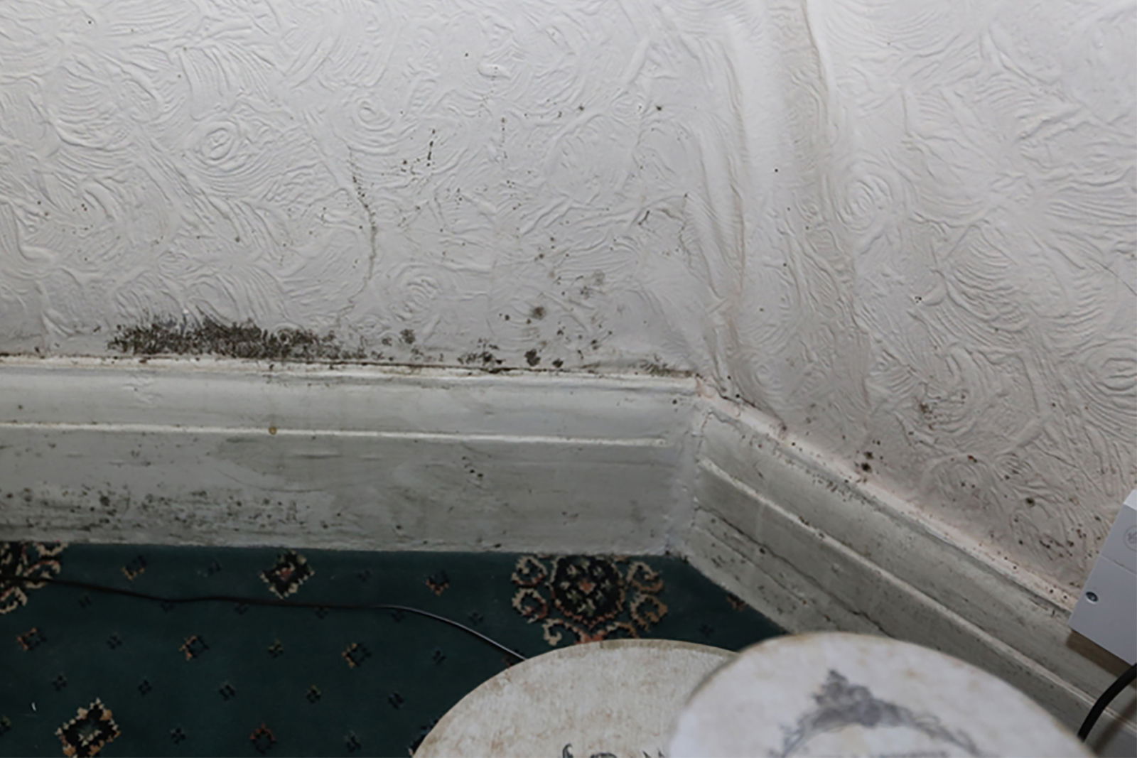 Bedroom mould