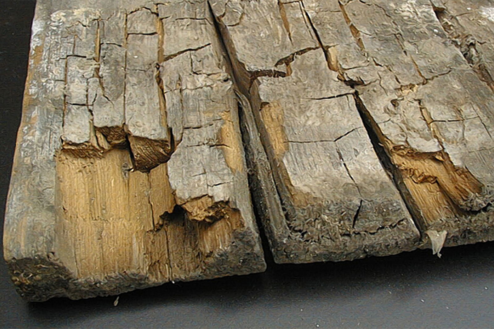 Cuboidal cracking due to dry rot.