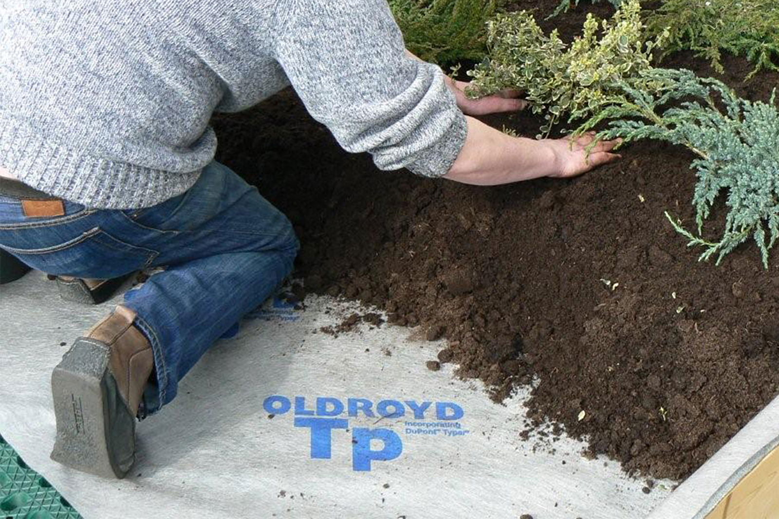 Oldroyd Tp green roof filtration layer