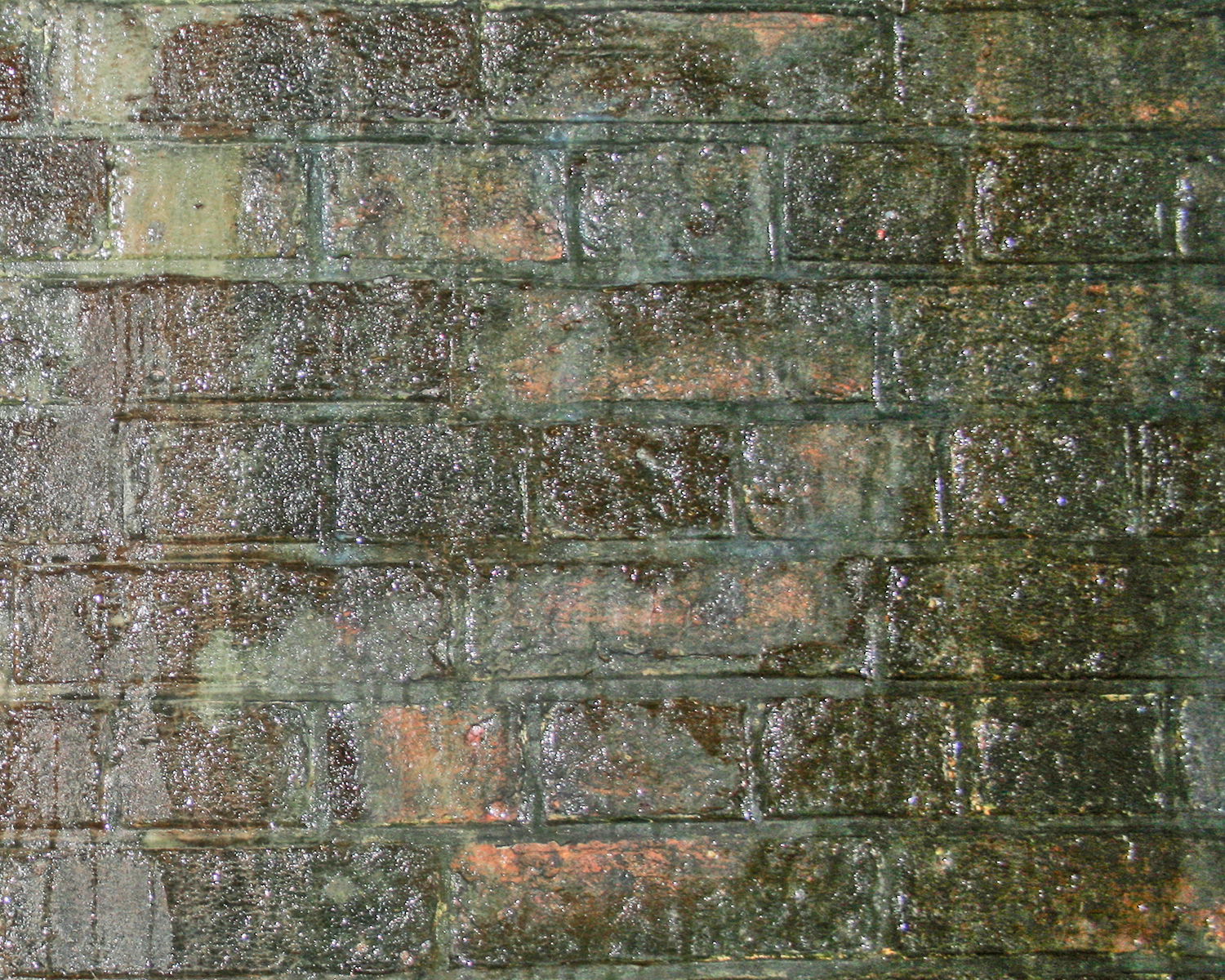 Algae covered wet wall 5x4