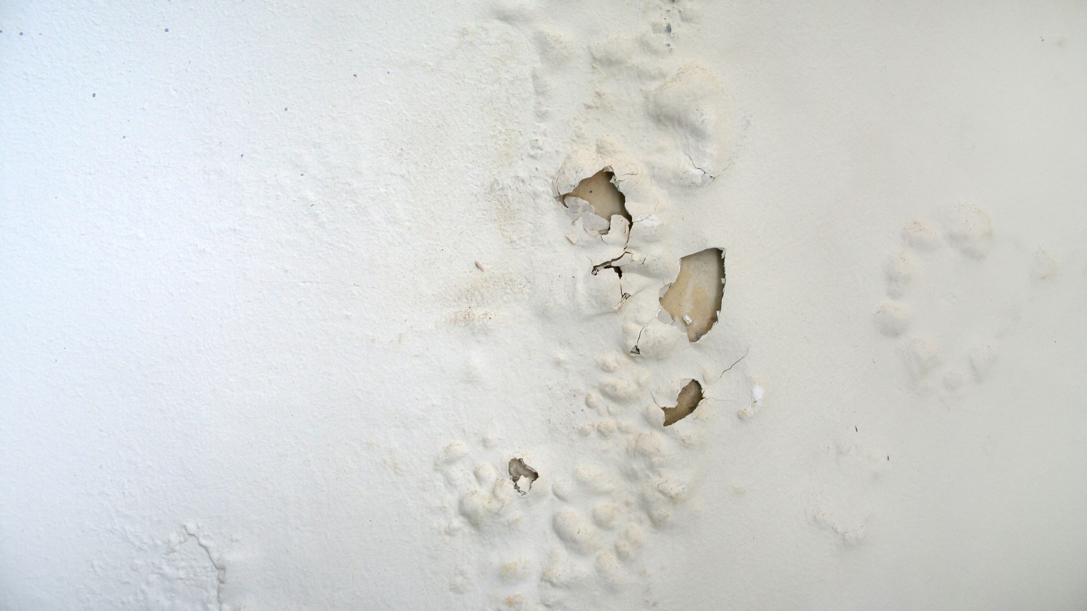 A wall with blistering paint.