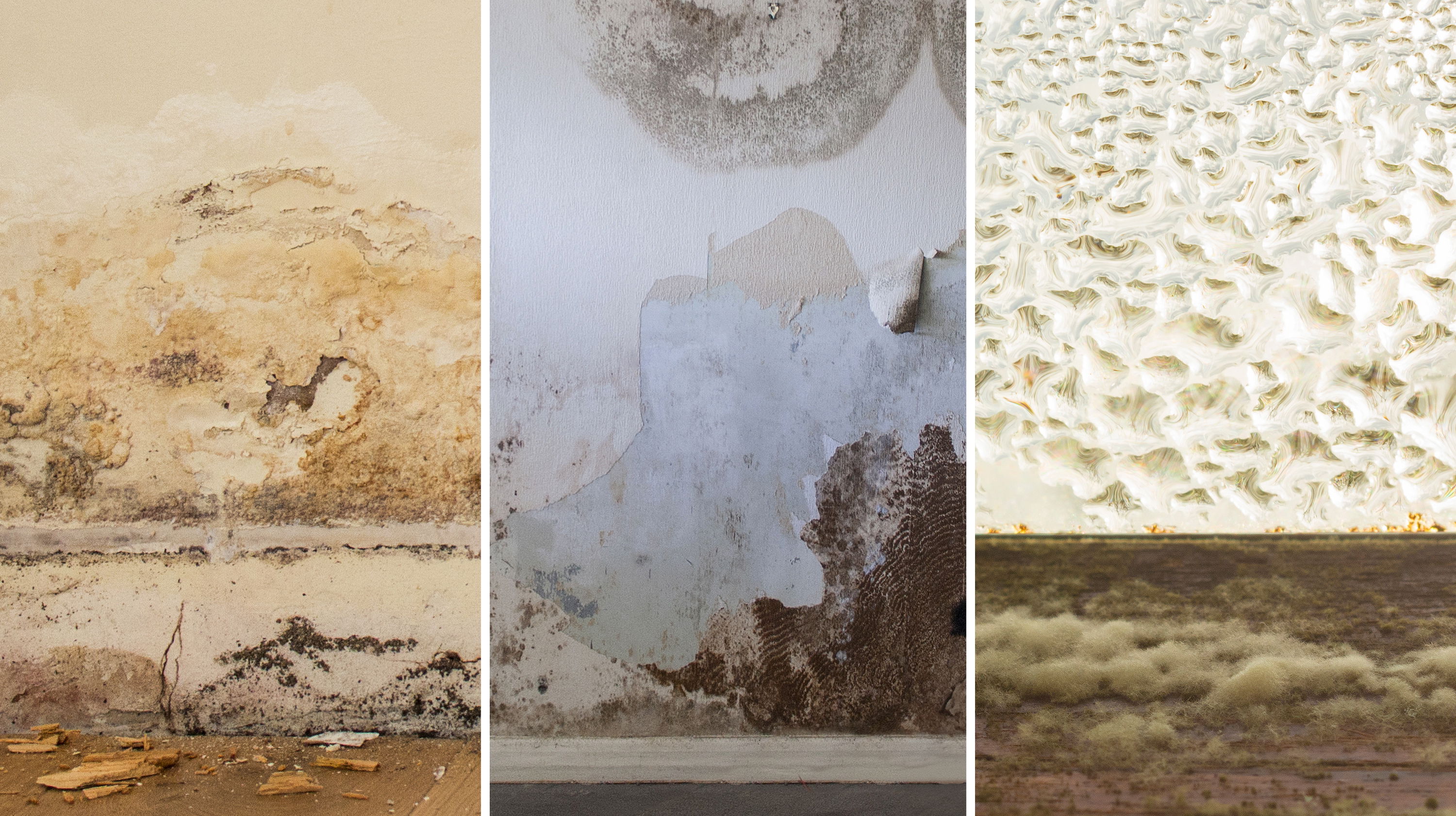 Examples of internal penetrating damp, rising damp and excess condensation.