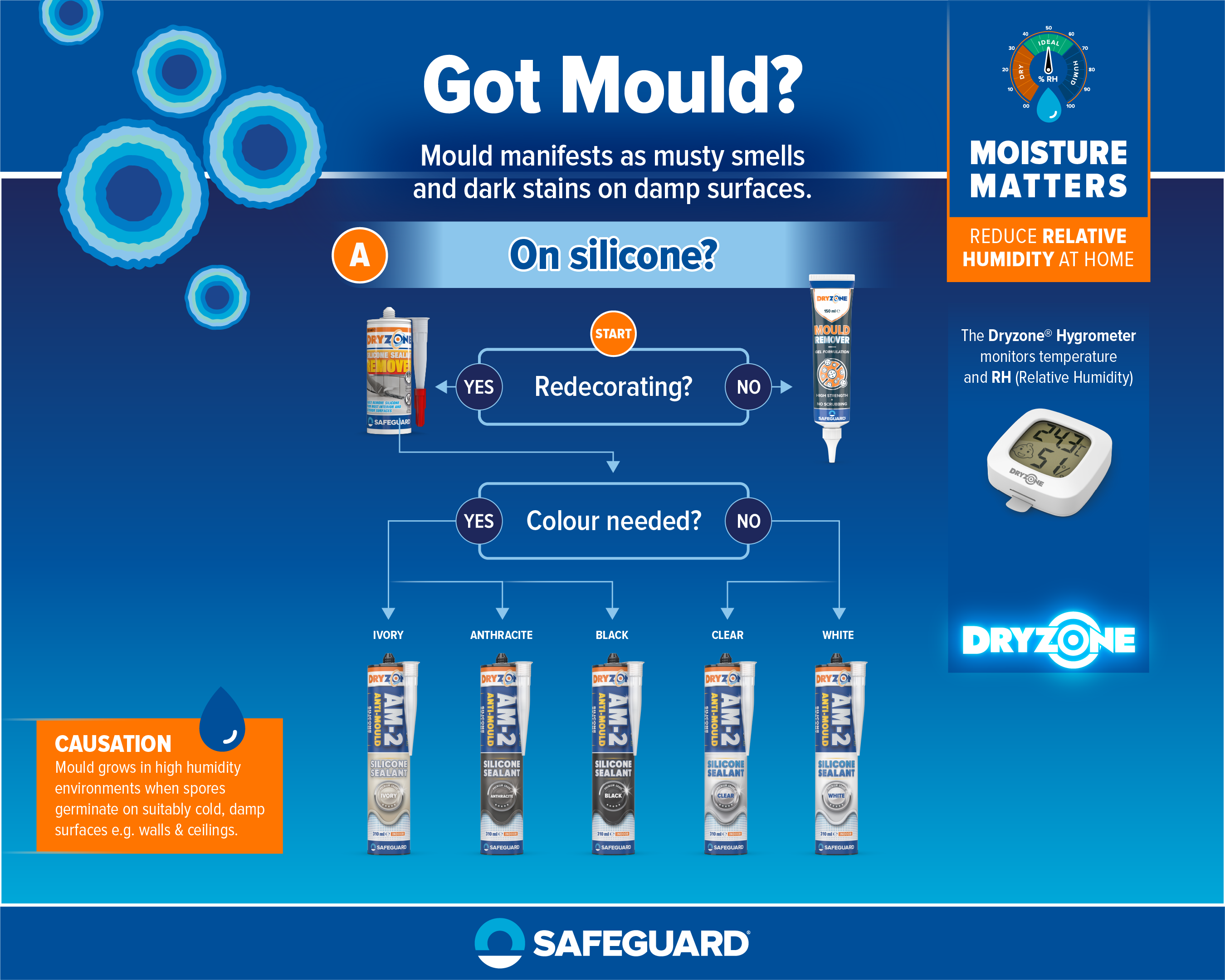 Damp and Mould Diagnosis Flowchart