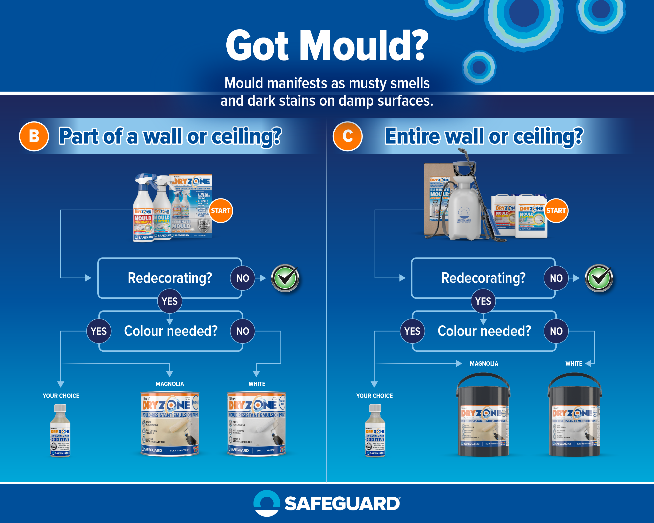 Damp and Mould Diagnosis Flowchart