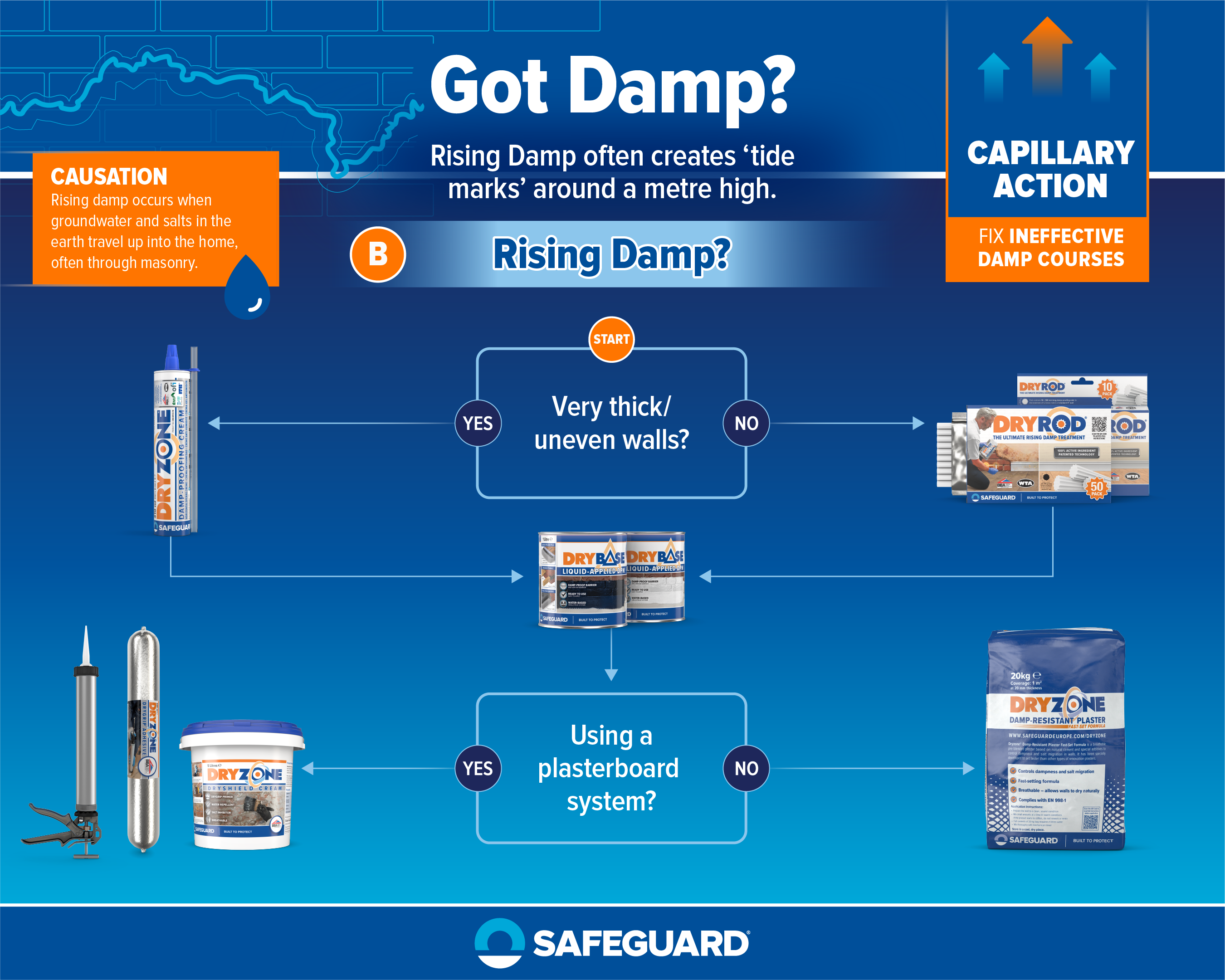 Rising Damp Diagnosis Flowchart
