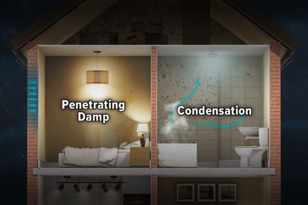The combined effect of condensation and penetrating damp