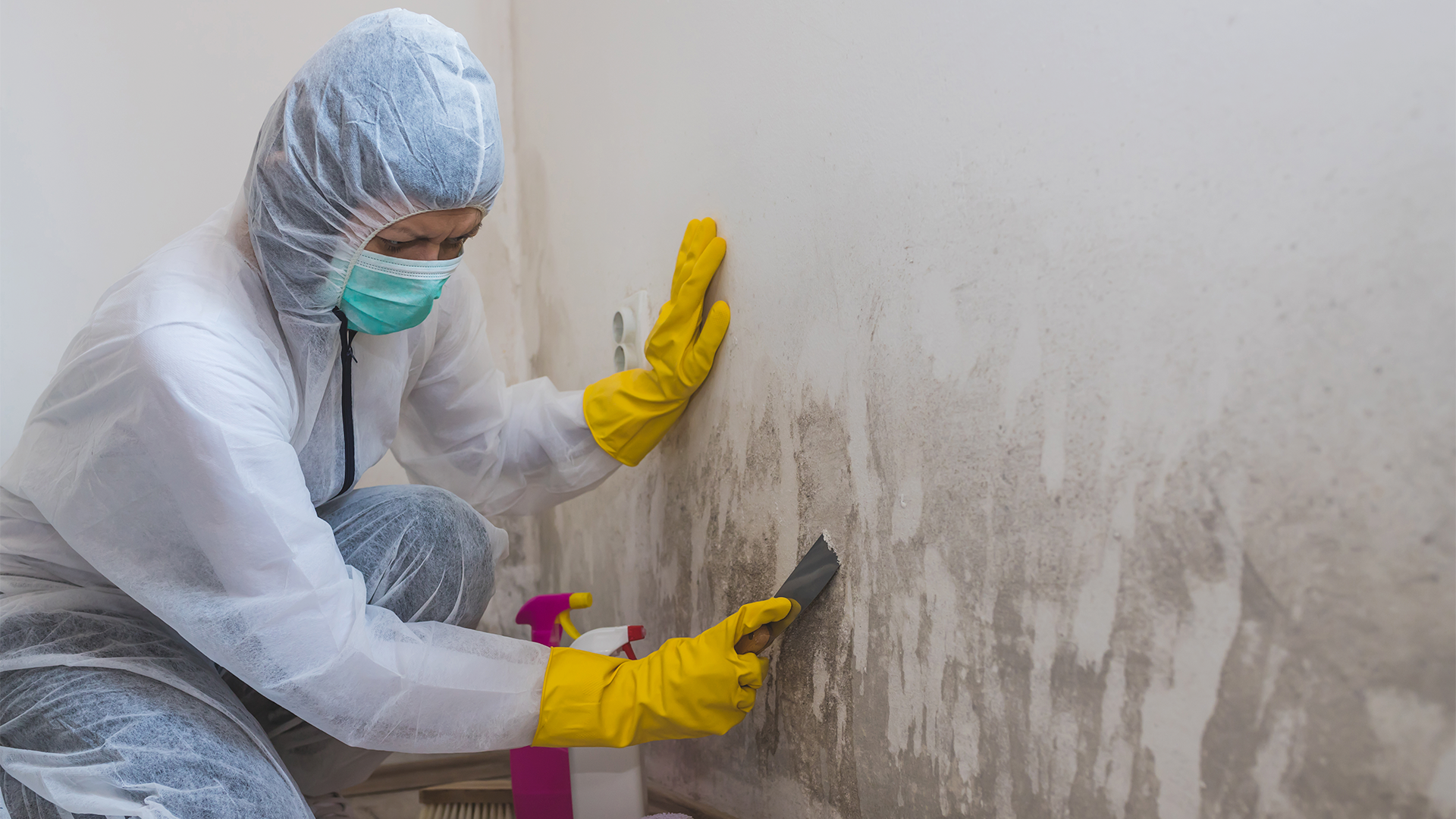 A cleaner in full protective gear scrubs a mouldy wall with a scraper.