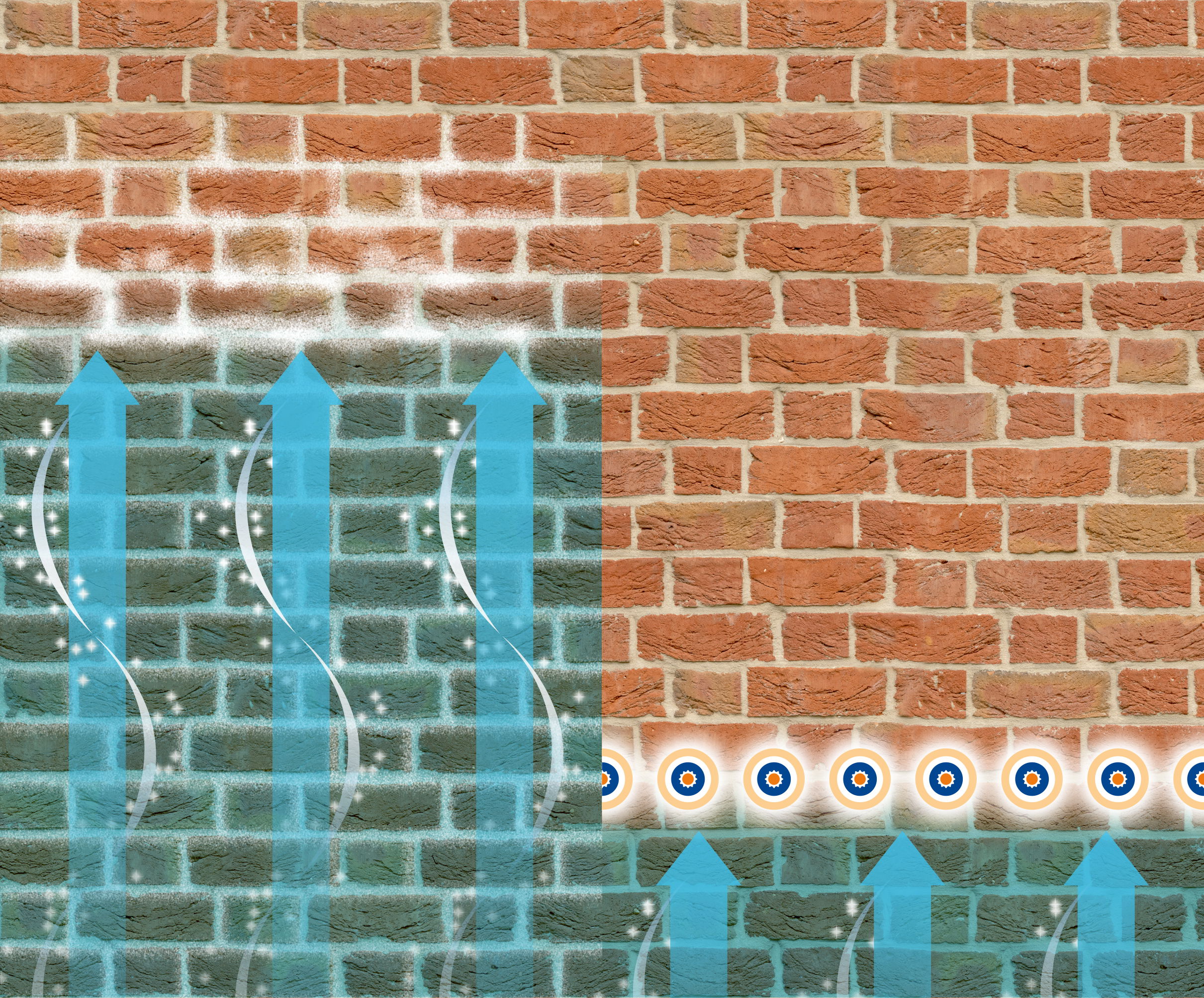 A diagram showing how Dryrod and Dryzone DPC Cream can stop rising damp.