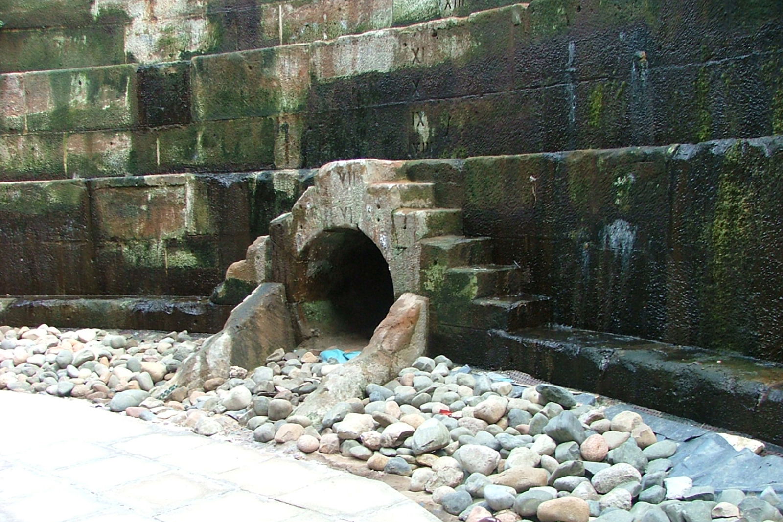 Walls of a dock covered of algae.