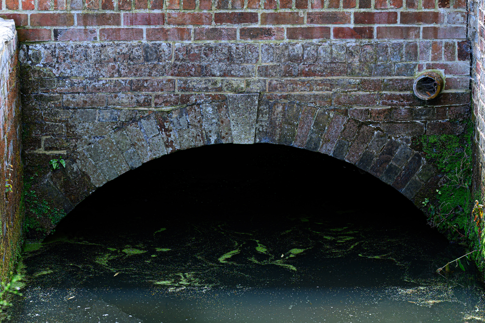 The Old Mill exterior bridge over water feature. Algae and efflorescent salts present. cropped. Photograph by Paul French.
