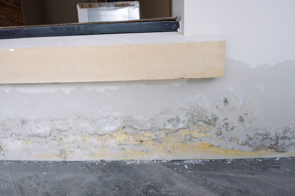 Interior detail of damp and plaster damage on interior wall. Photograph by Miles Jarvis.