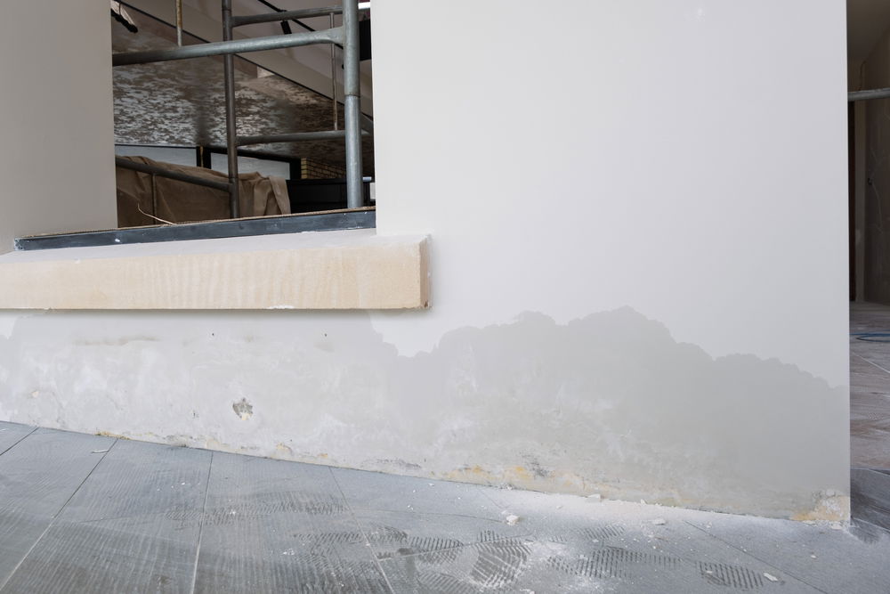Rising damp on an interior wall. Photograph by Miles Jarvis.
