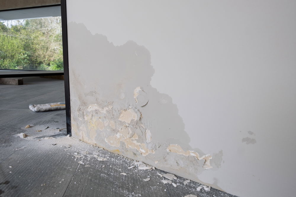Interior damp and plaster damage on an internal wall. Photograph by Miles Jarvis.