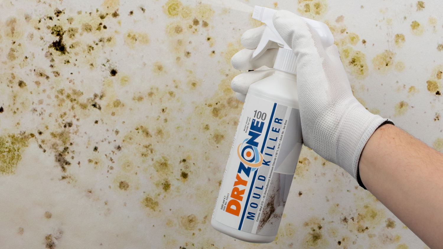 A gloved hands spraying Dryzone 100 Mould Killer on a mouldy wall.