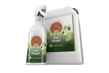Inoscent Ant Repel News Hero Image