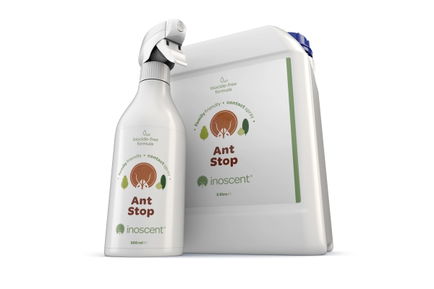 Inoscent Ant Stop news hero image