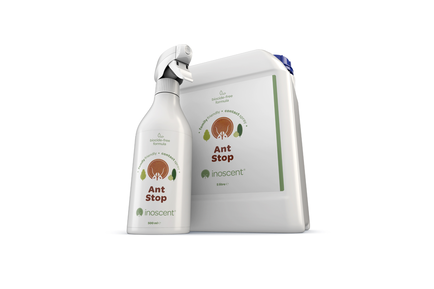 Inoscent Ant Stop news hero image