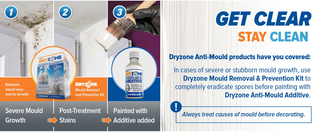 Keep walls mould-free