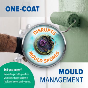 One-coat mould management.