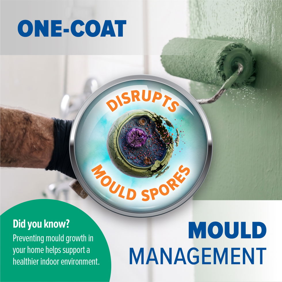 One-coat mould management.