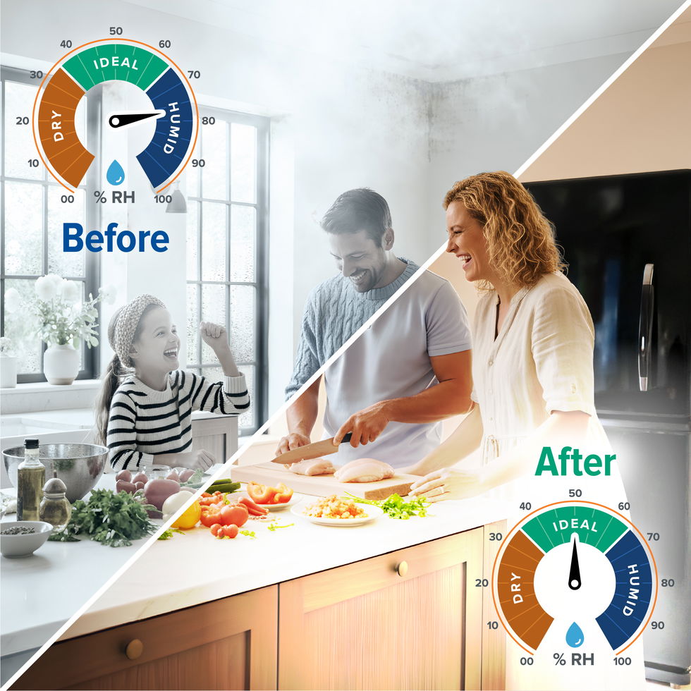 The Dryzone Loft Cube PIV is compact, fitting in most lofts.