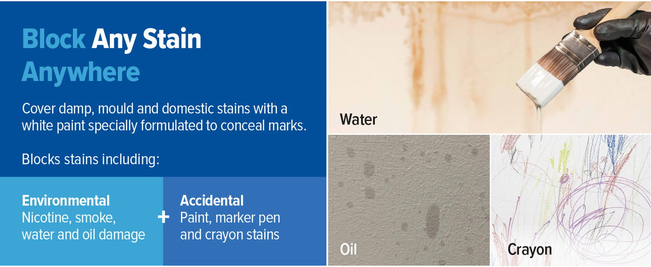 Block any stain anywhere with Dryzone Damp and Stain Seal