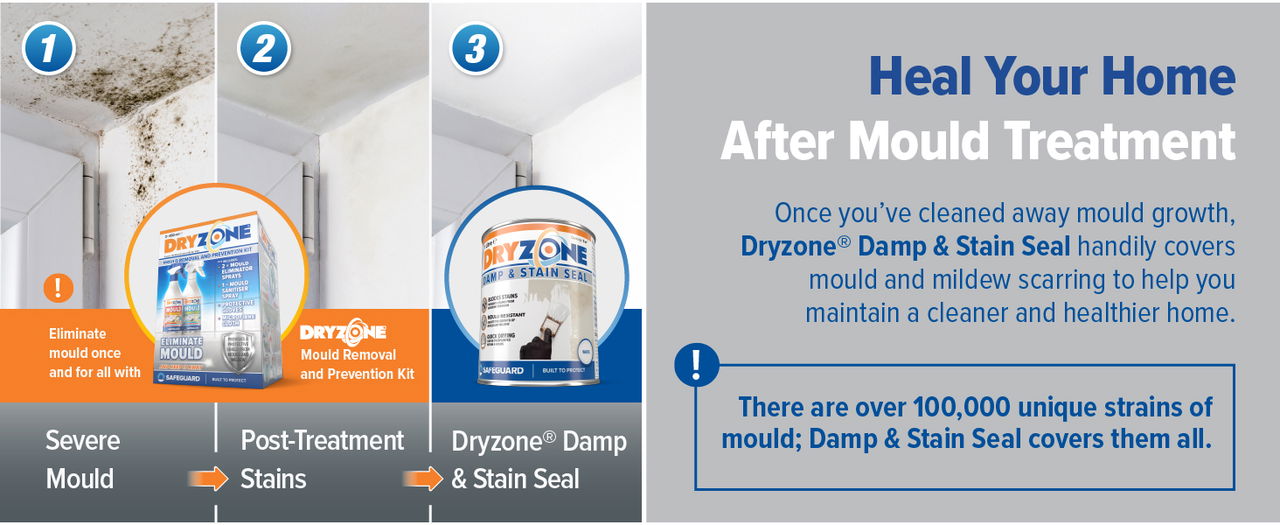 Heal your home after stain sealing with Dryzone Damp and Stain Seal