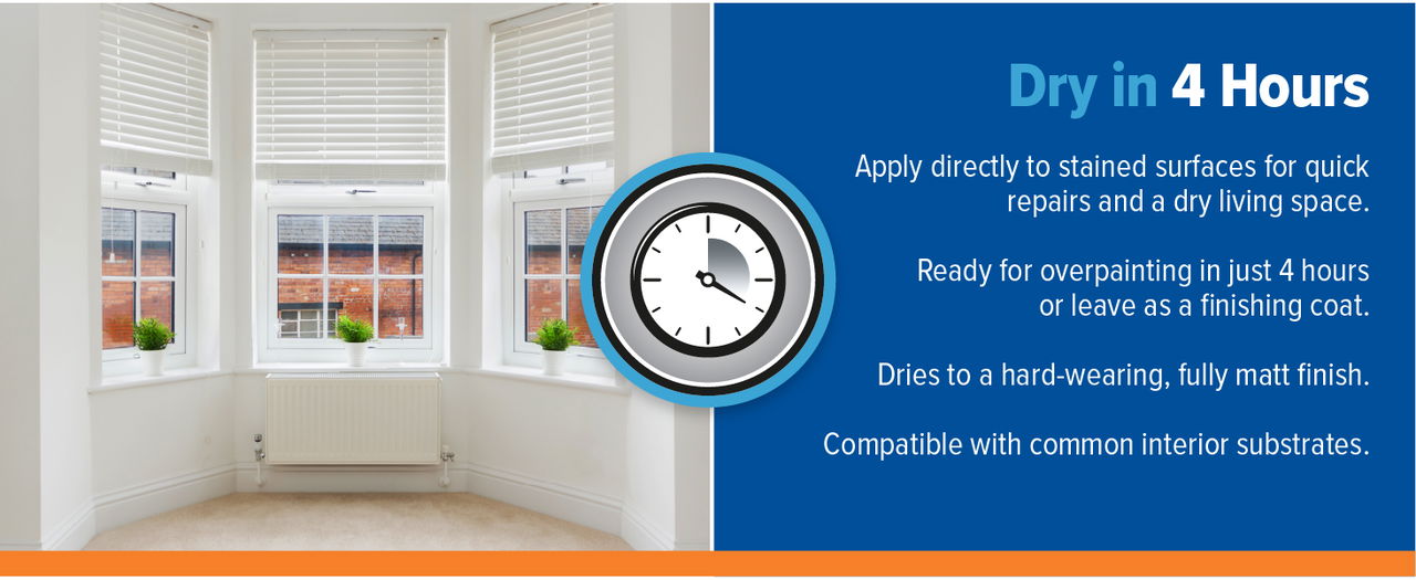 Dryzone Damp and Stain Seal dries in 4 hours