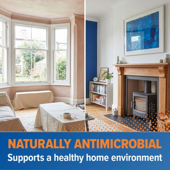 Dryzone Hi-Lime Renovation Plaster is naturally antimicrobial.