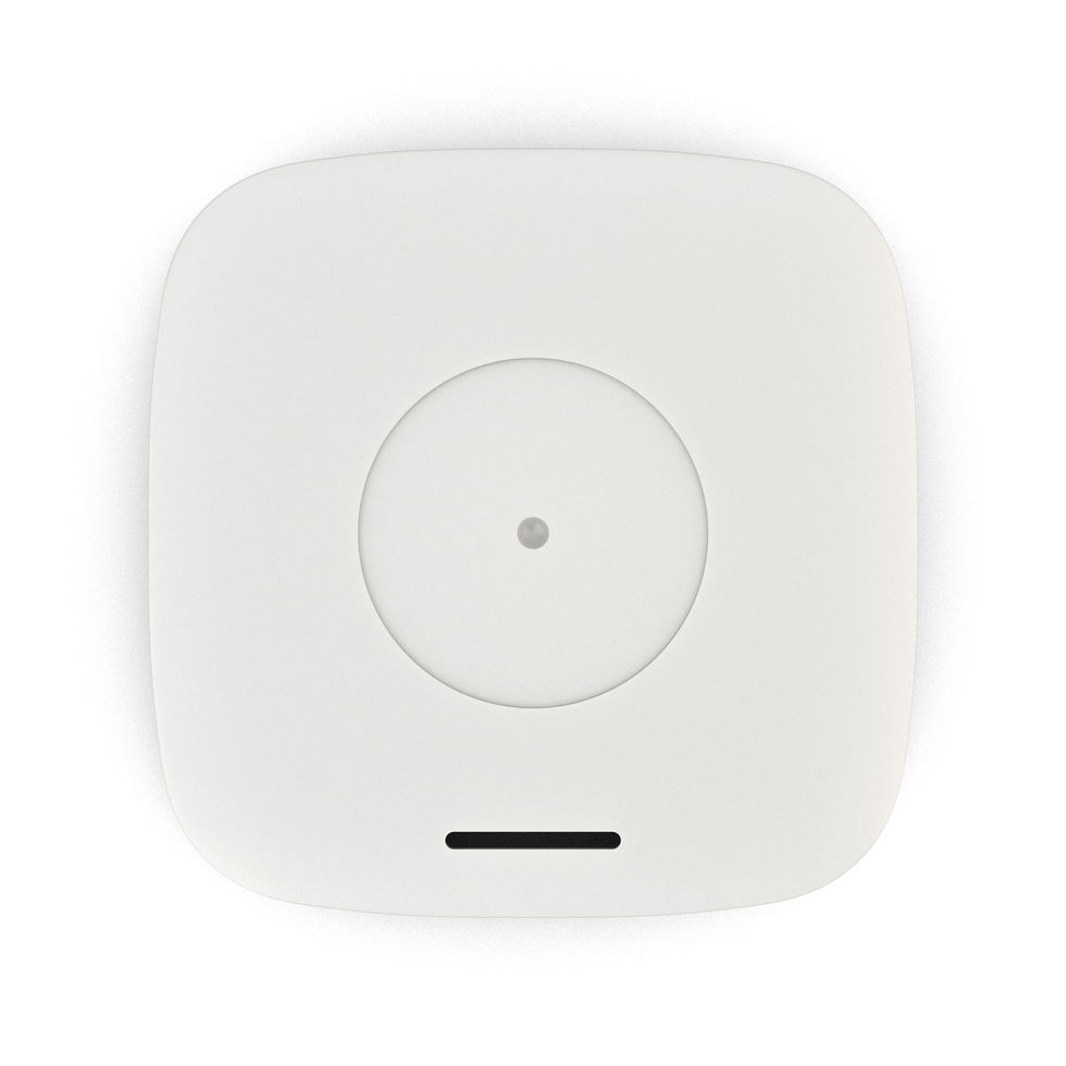 Dryzone Hygrometer (bottom, white b/g)