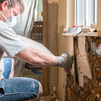 Dryzone Fast-Set Renovation Plaster - Replastering & Finishing - Damp ...