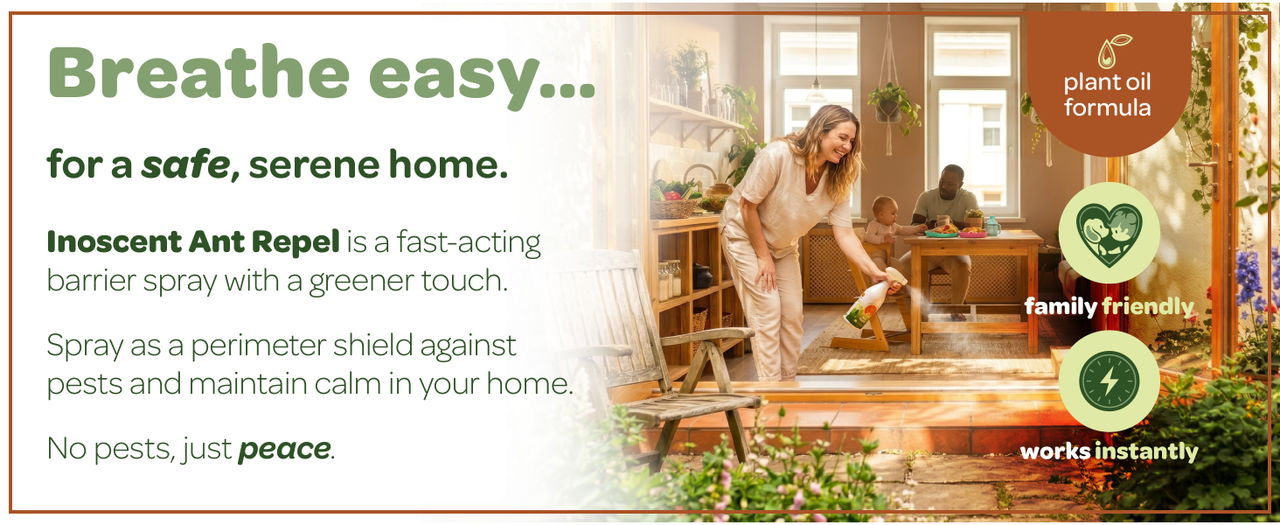 Breathe easy for a safe, serene home.