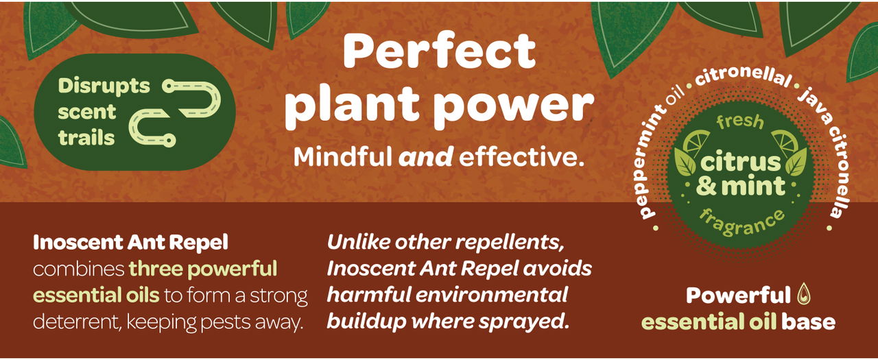 Inoscent Ant Repel is mindful and effective.
