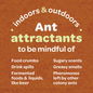 Be mindful of common ant attractants.