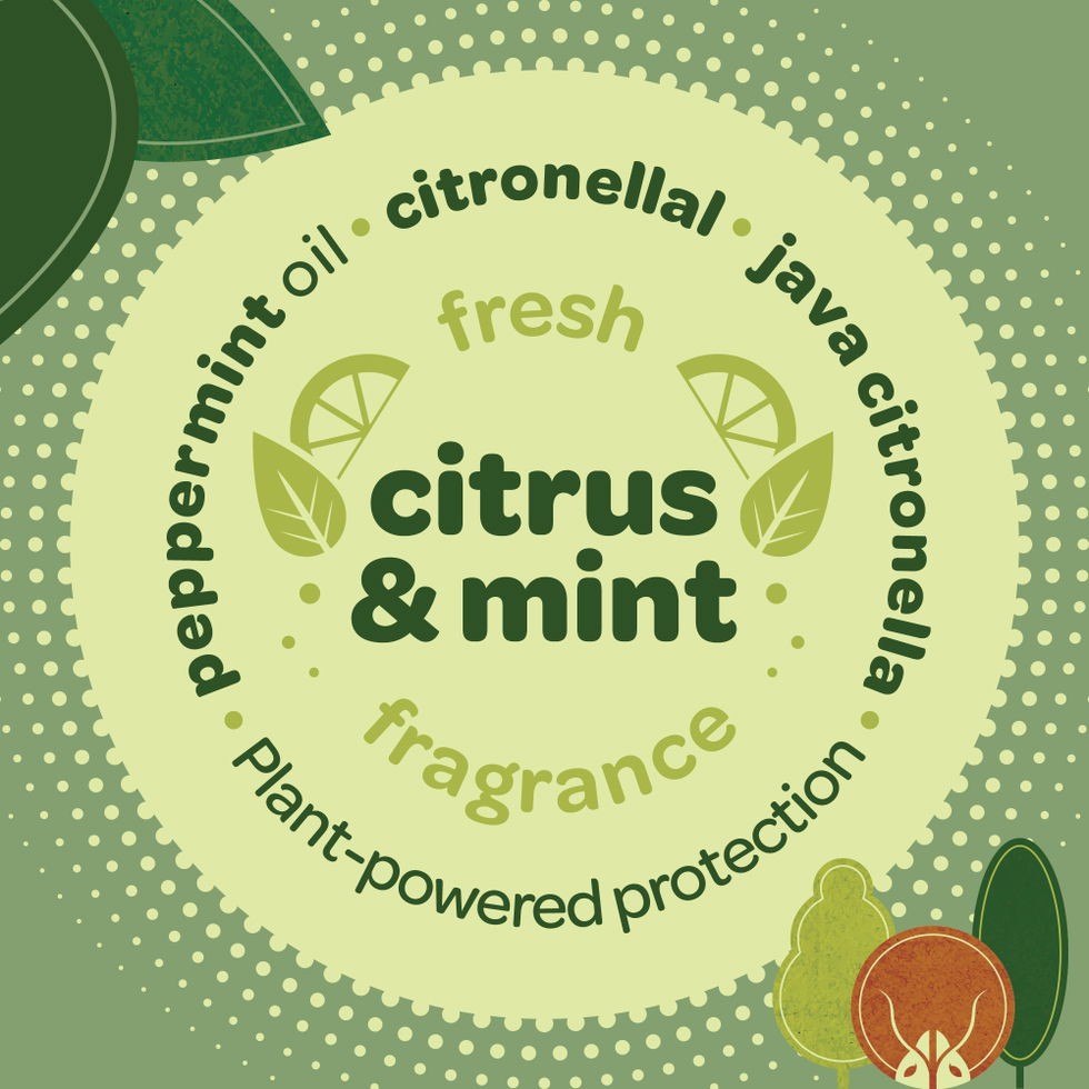 Fresh citrus and mint fragrance.