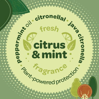 Fresh citrus and mint scent.