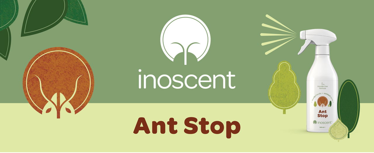 Inoscent Ant Stop