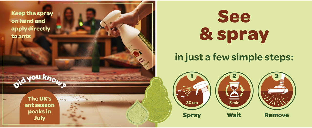 See & spray to remove ants