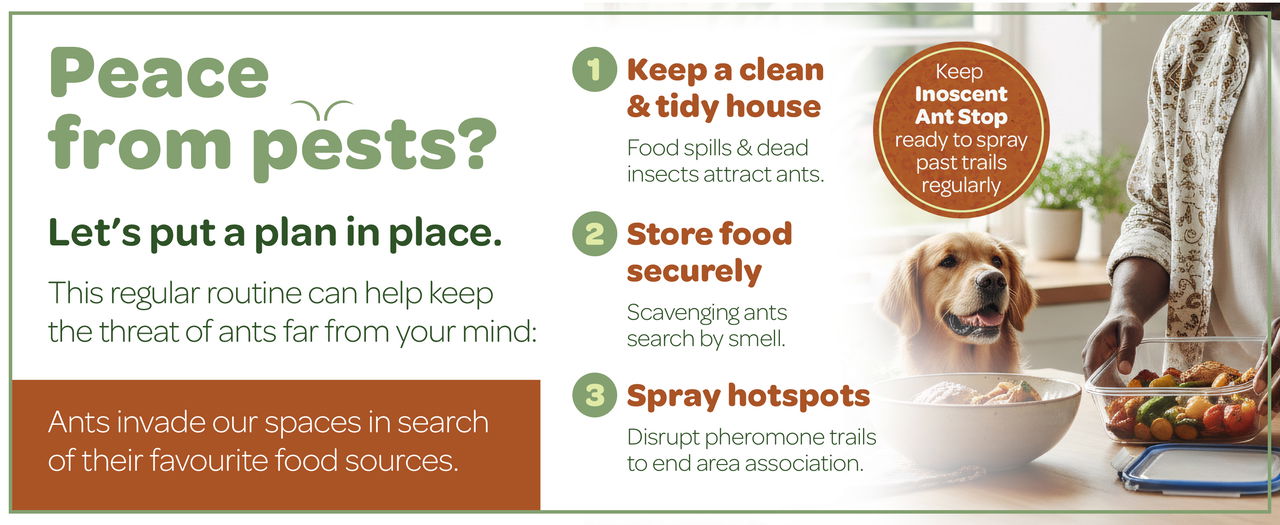 Peace from pests? Let's put a plan in place.
