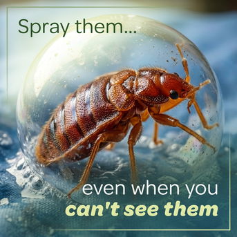 Spray them... even when you can't see them