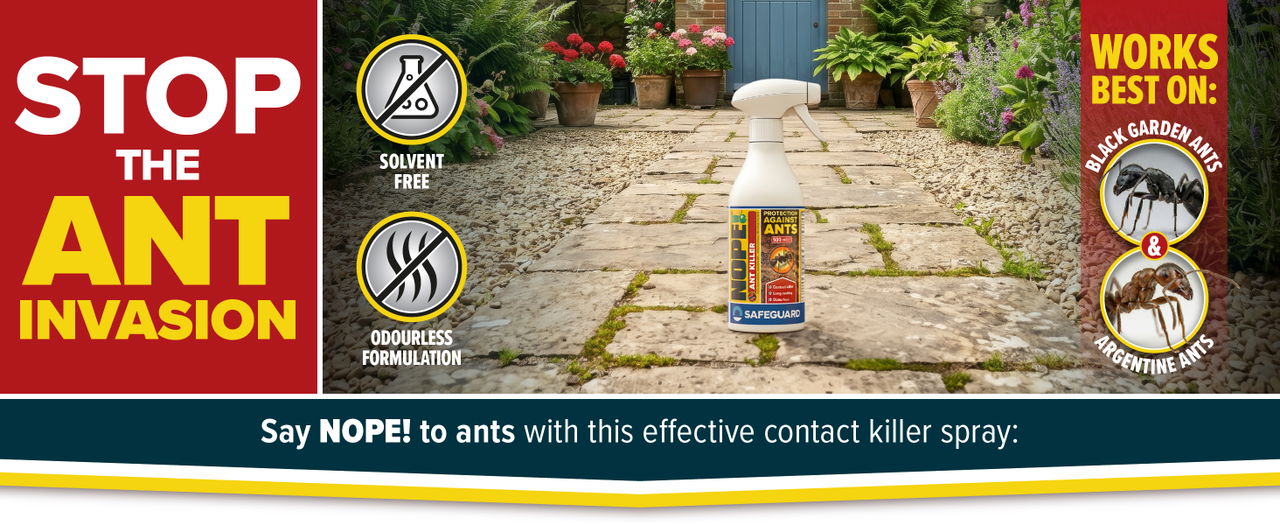 Stop the ant invasion with NOPE! Ant Killer Spray.