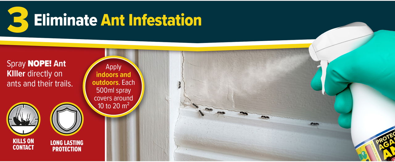 Eliminate Ant Infestations with NOPE! Ant Killer