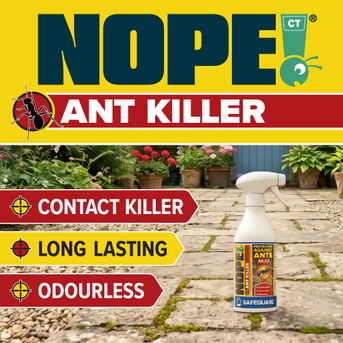 NOPE! Ant Killer is odourless and long-lasting