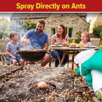 Spray NOPE! directly on ants for best results