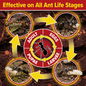 NOPE! is effective on all life cycle stages.