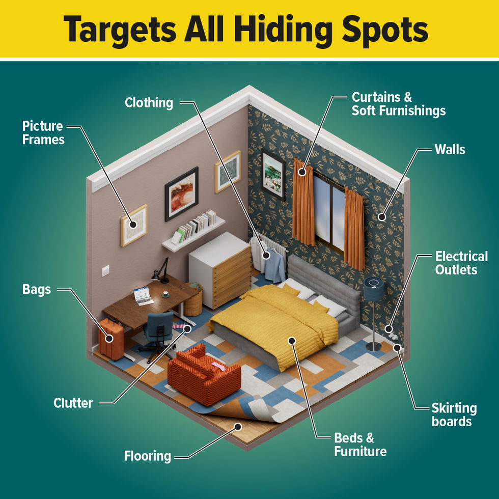 Target all hiding spots with NOPE! Bed Bug Spray